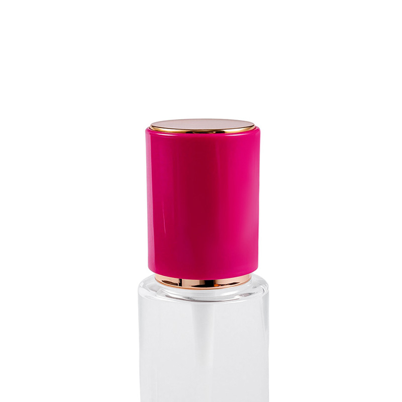 Bomba de pulverização com elemento de bomba de mola integrado Bomba de pulverização com elemento de bomba de mola integrado